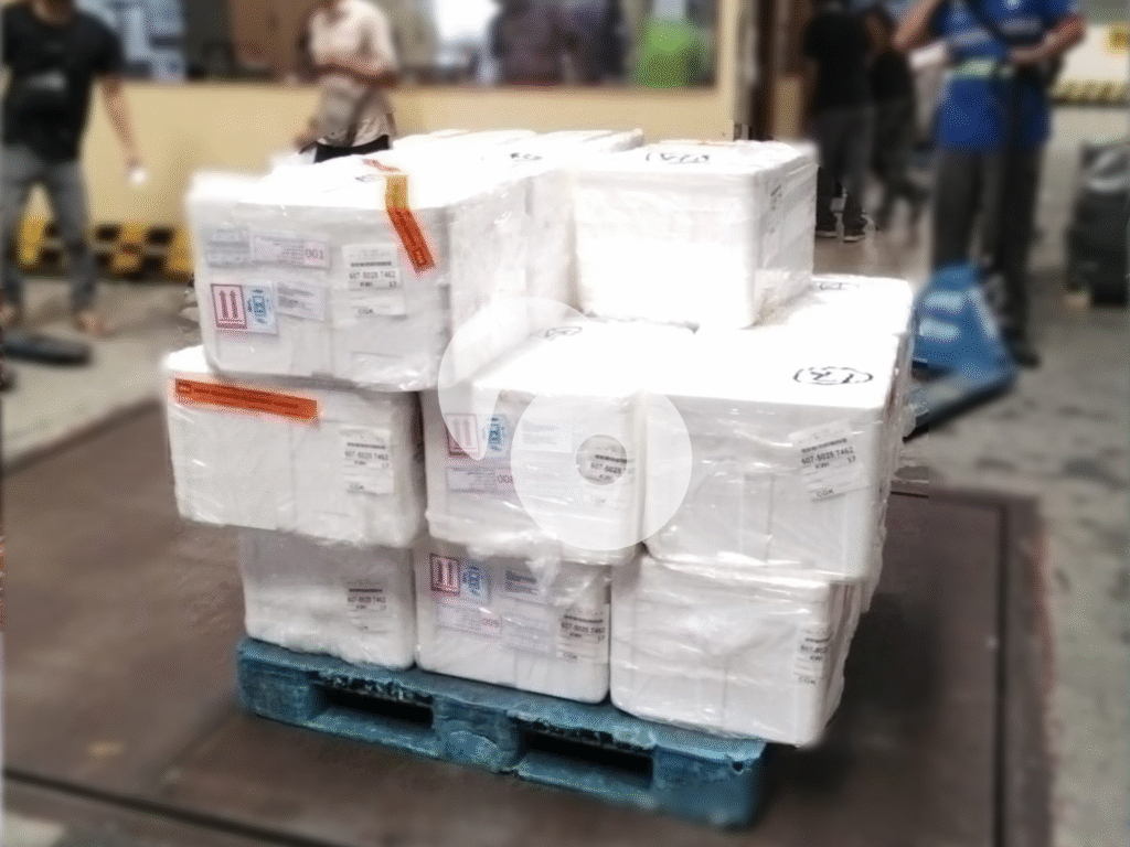 Fresh Yellowfin Tuna Loin CO, Exported to Kuwait